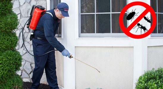 Evka 5 Pire İlaçlama böcek ilaçlama ve haşere kontrolü — ilaclama-tr.com